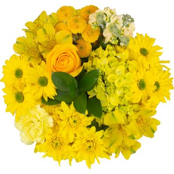 BLOOMS by H-E-B Lone Star Living TexFest Bouquet, Assorted
