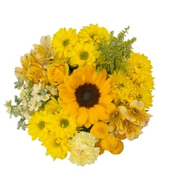BLOOMS by H-E-B Lone Star Living TexFest Bouquet, Assorted