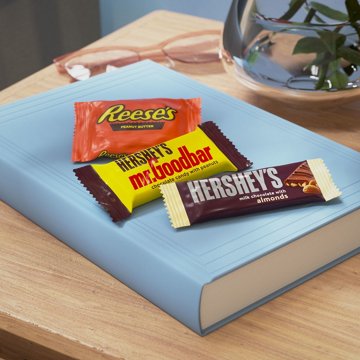 Hershey's & Reese's Assorted Snack Size Candy - Party Pack