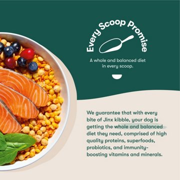 Jinx Grain Free Salmon Sweet Potato & Carrot Recipe Dry Dog Food