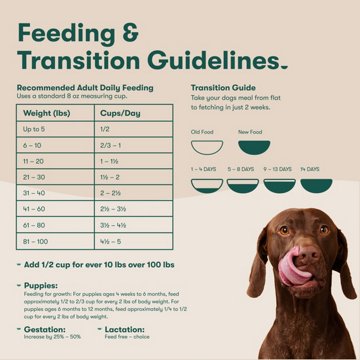 Jinx Grain Free Chicken Sweet Potato & Carrot Recipe Dry Dog Food