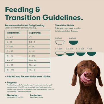 Jinx Grain Free Atlantic Salmon Sweet Potato & Carrot Dry Dog Food