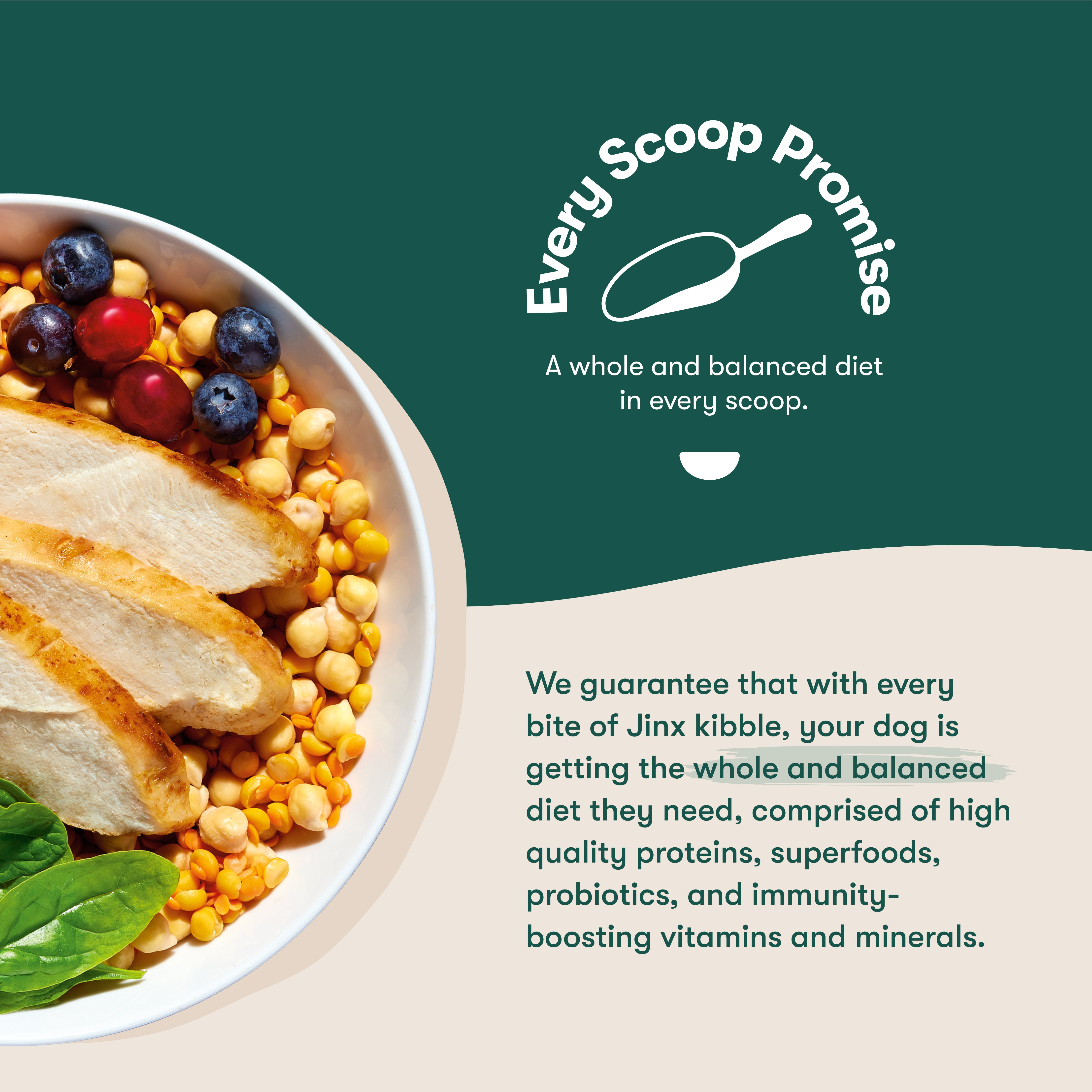 Jinx Grain Free Chicken Sweet Potato & Carrot Recipe Dry Dog Food