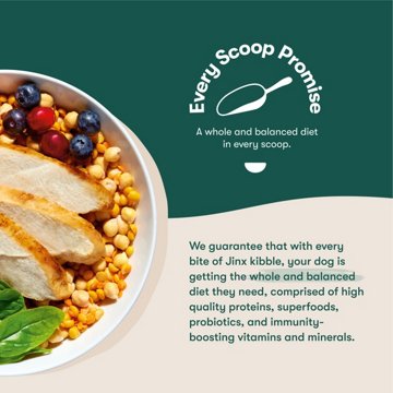 Jinx Grain Free Chicken Sweet Potato & Carrot Recipe Dry Dog Food