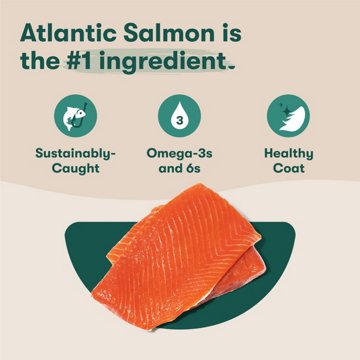 Jinx Atlantic Salmon Brown Rice & Sweet Potato Dry Dog Food