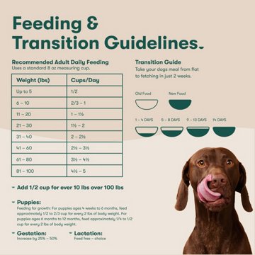 Jinx Grass Fed Beef Brown Rice & Sweet Potato Recipe Dry Dog Food