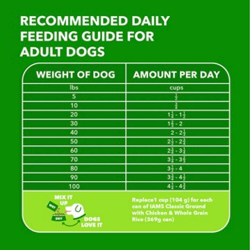 IAMS Proactive Health Adult Dry Dog Food - Beef & Rice