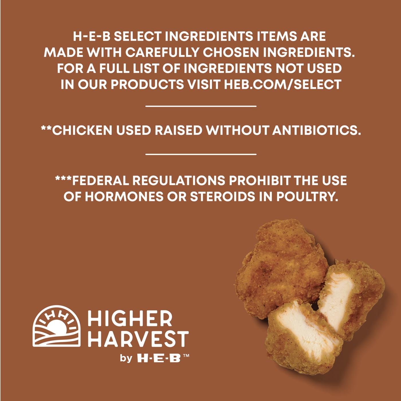 Higher Harvest by H-E-B Lightly Breaded Chicken Breast Bites - 16g Protein; image 3 of 5