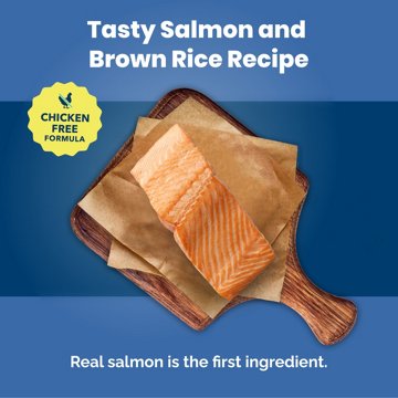 Blue Buffalo Life Protection Formula Dry Dog Food - Salmon