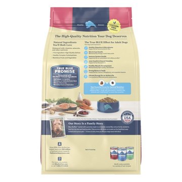 Blue Buffalo Life Protection Formula Dry Dog Food - Salmon