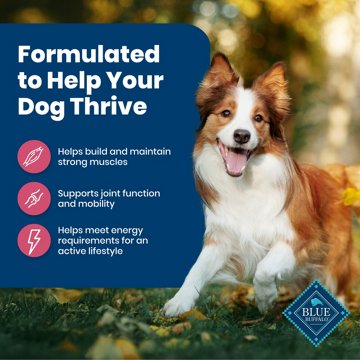 Blue Buffalo Life Protection Formula Dry Dog Food - Salmon