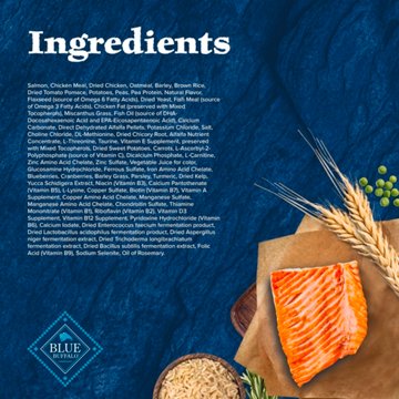Blue Buffalo Wilderness Dry Food for Senior Dogs - Salmon
