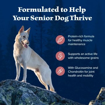 Blue Buffalo Wilderness Dry Food for Senior Dogs - Salmon