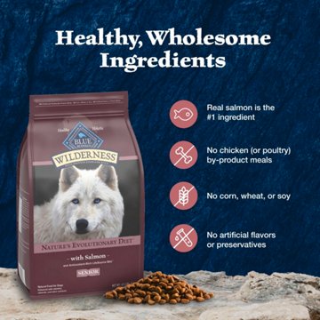 Blue Buffalo Wilderness Dry Food for Senior Dogs - Salmon