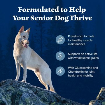 Blue Buffalo Wilderness Senior Dry Dog Food - Chicken