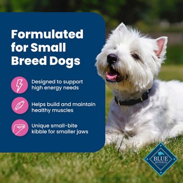 Blue Buffalo Life Protection Formula SB Dry Dog Food - Chicken
