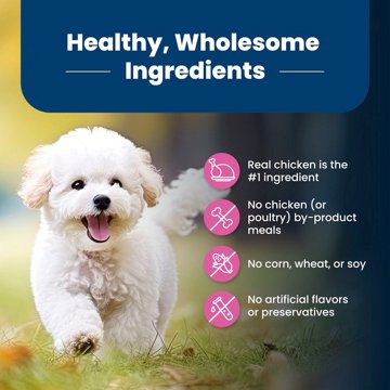 Blue Buffalo Life Protection Formula SB Dry Dog Food - Chicken