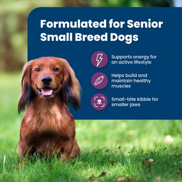 Blue Buffalo Life Protection Formula SB SR Dry Dog Food - Chicken
