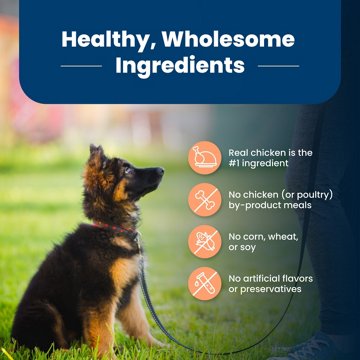 Blue Buffalo Life Protection Formula Puppy Dry Dog Food - Chicken
