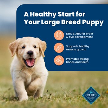 Blue Buffalo Life Protection Formula Puppy Dry Dog Food - Chicken