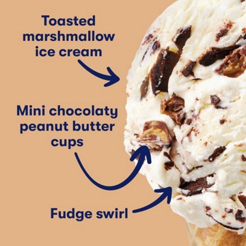 Tillamook Campfire Peanut Butter Cup Ice Cream