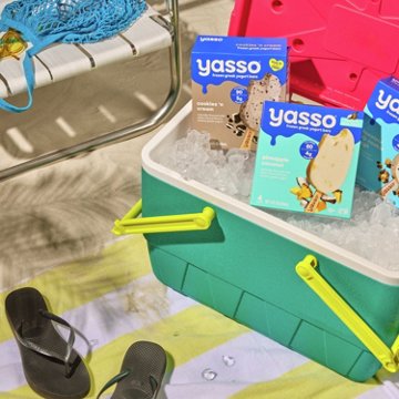 Yasso Pineapple Coconut Frozen Greek Yogurt Bars