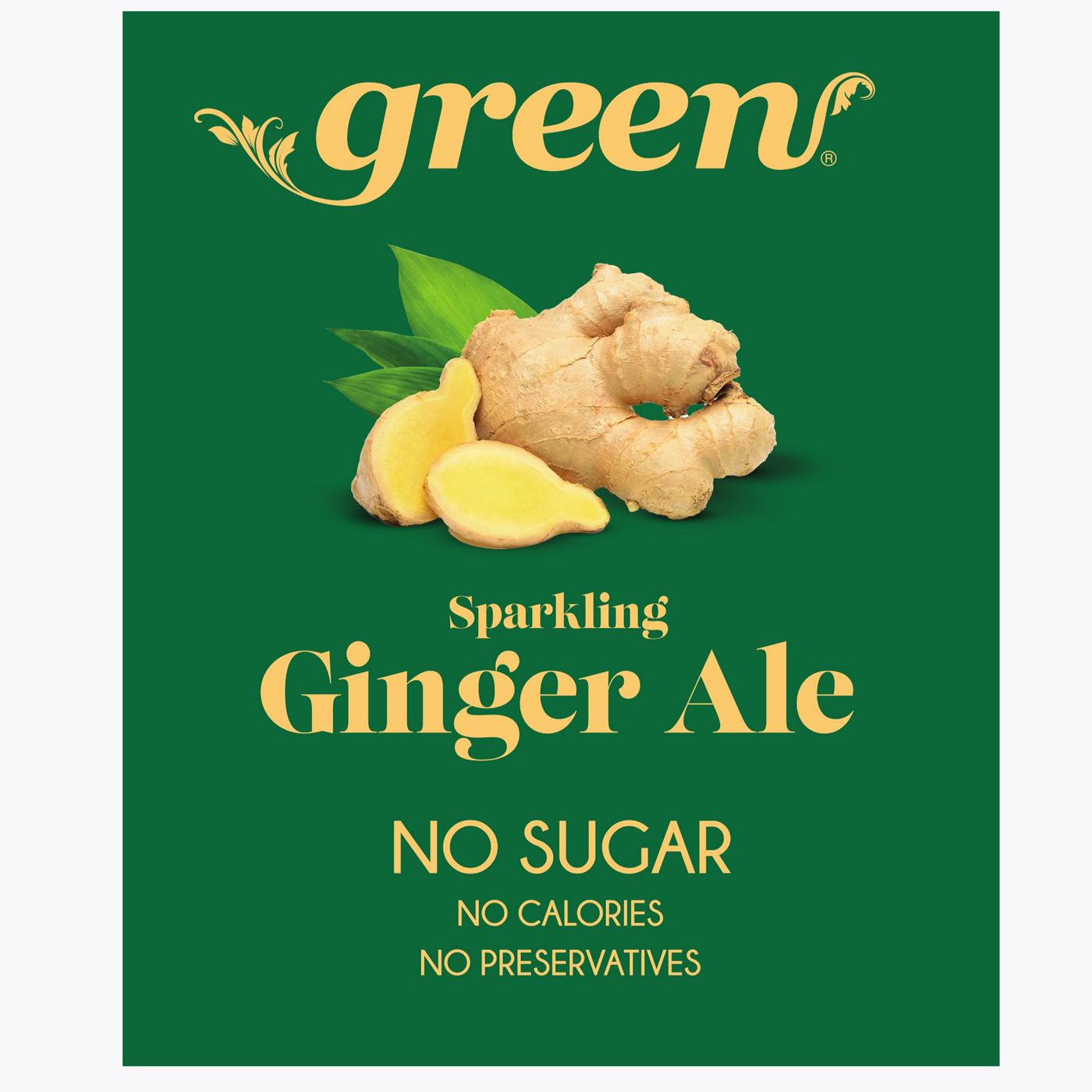 Green Sparkling Ginger Ale Soda 4 pk Cans; image 3 of 3