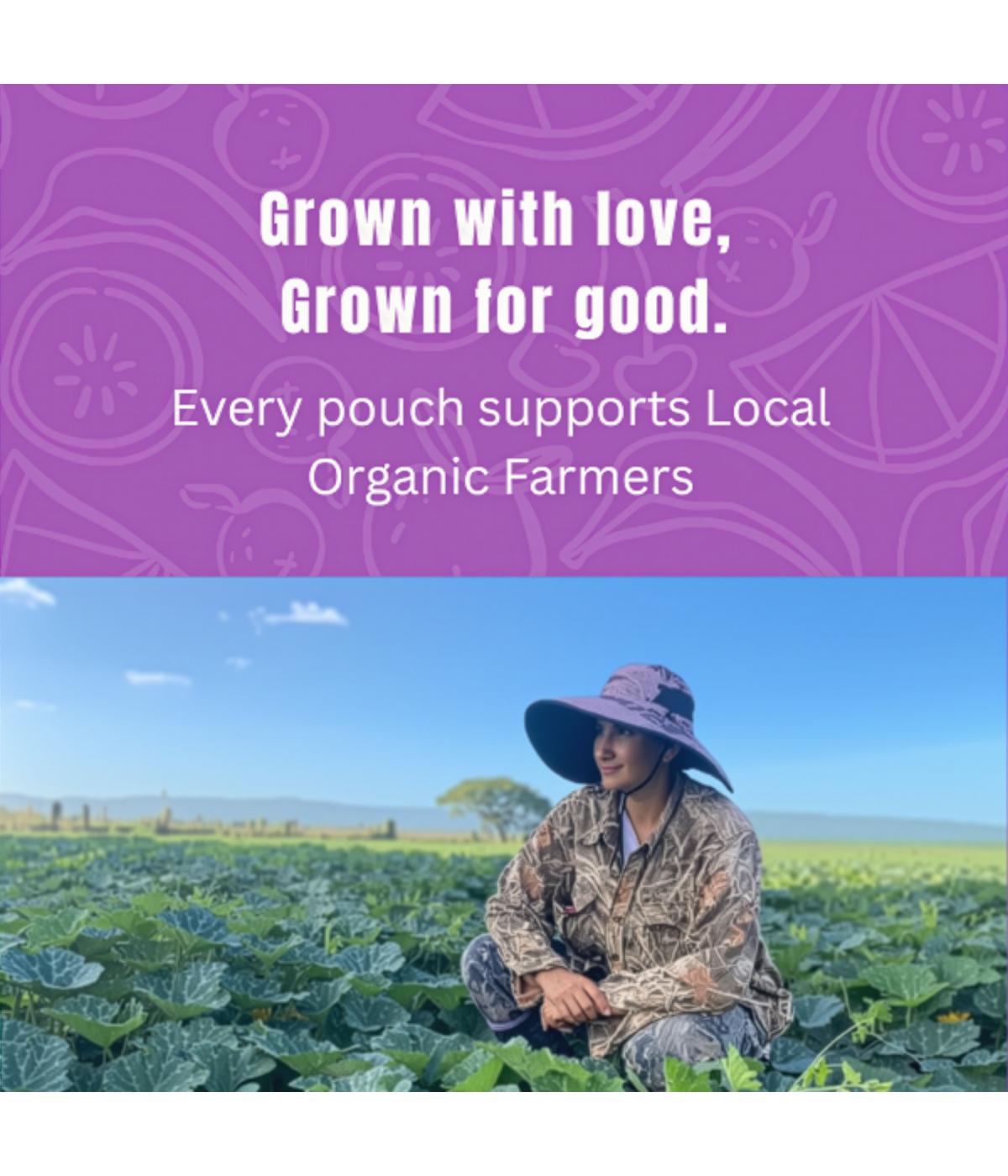 Loco Bebe Organic Baby Food Purée - Caribbean Pumpkin; image 6 of 9