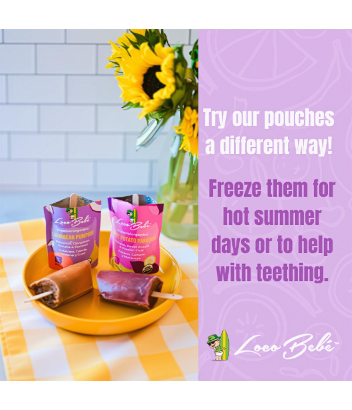 Loco Bebe Organic Baby Food Purée - Caribbean Pumpkin; image 8 of 9