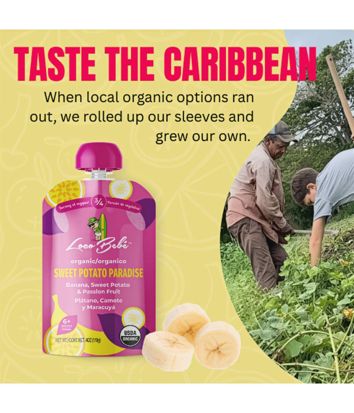 Loco Bebe Organic Baby Food Purée - Sweet Potato Paradise; image 5 of 9