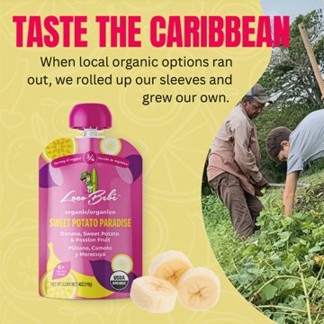 Loco Bebe Organic Baby Food Purée - Sweet Potato Paradise, 4 oz