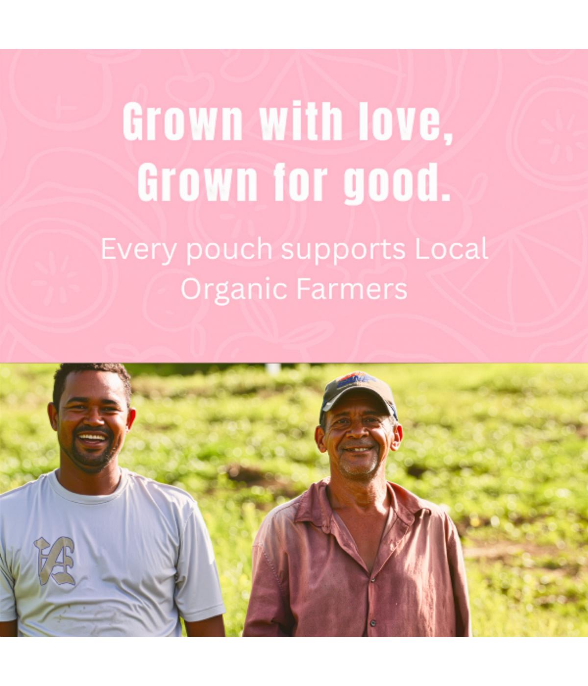 Loco Bebe Organic Baby Food Purée - Banana Mango; image 8 of 9