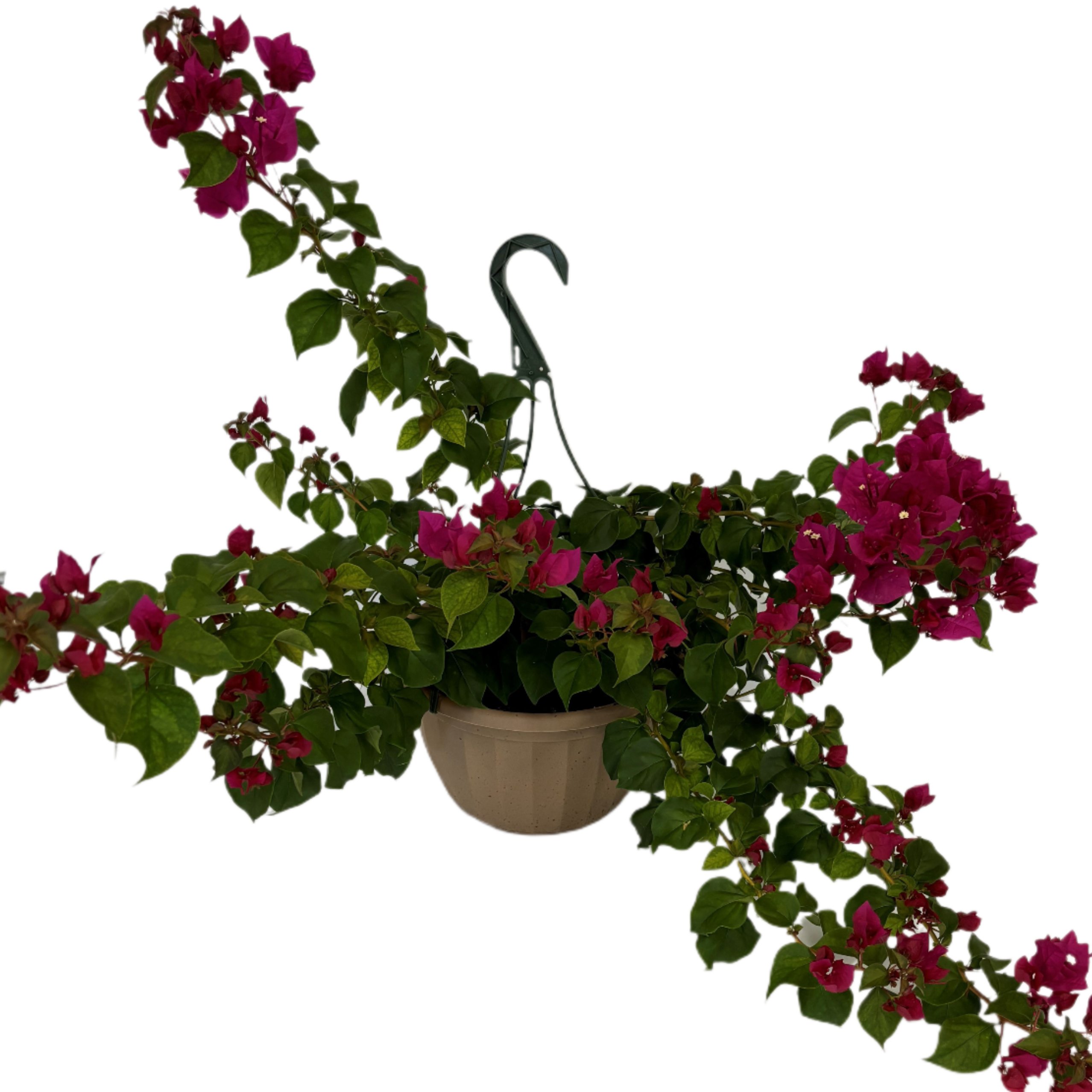 small hot houses for plants Outsunny Lean-to Greenhouse with 3 Shelves & 2 Roll-up Doors,56.3