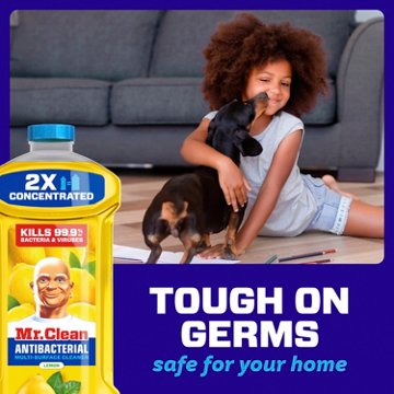 Mr. Clean Antibacterial All Purpose Cleaner - Lemon, 41 oz