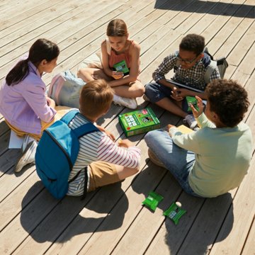 FruitBlox Apple & Strawberry Snack Pouches, 22 ct