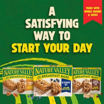 Nature Valley Soft Baked Breakfast Bars - Blueberry Oat