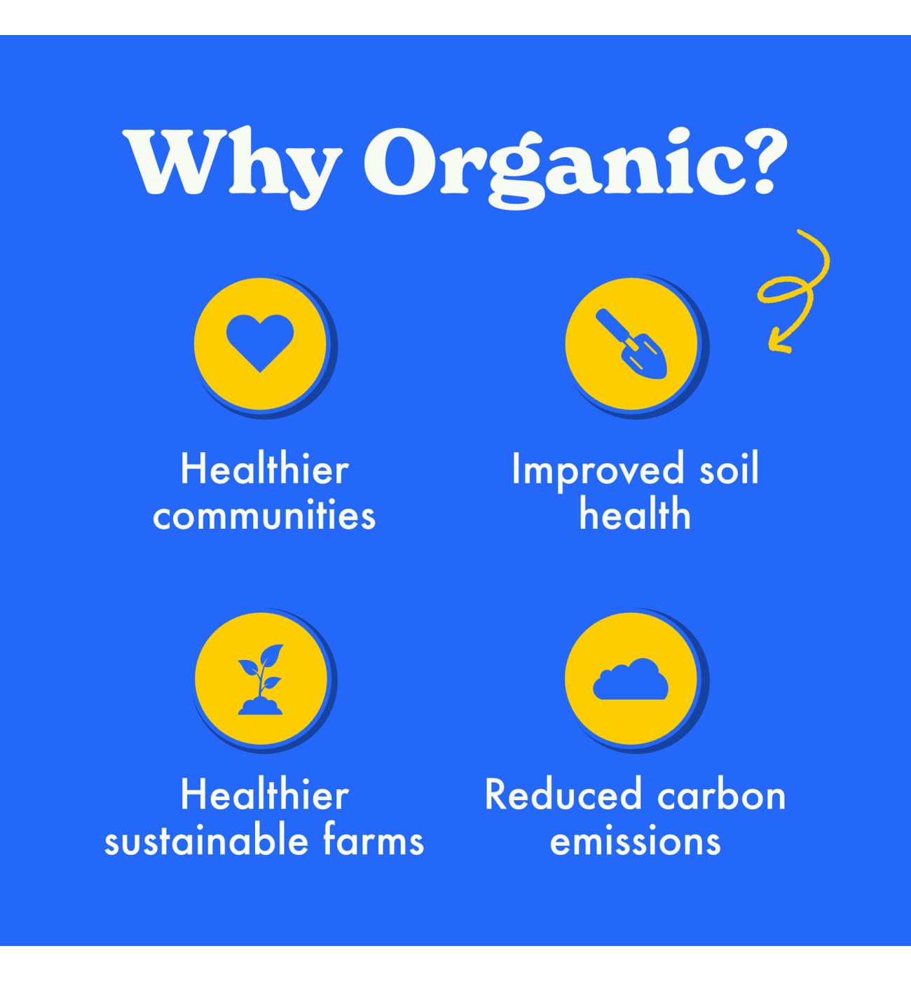 MadeGood Mornings Organic Soft Baked Oat Bars - Chocolate Chip; image 5 of 12