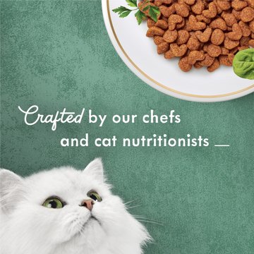 Fancy Feast Purina Medleys Primavera Style - White Meat Chicken and Accents of Tomato, Carrot and Spinach, 6.5 lb