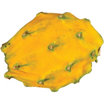 Fresh Yellow Sunburst Dragon Fruit