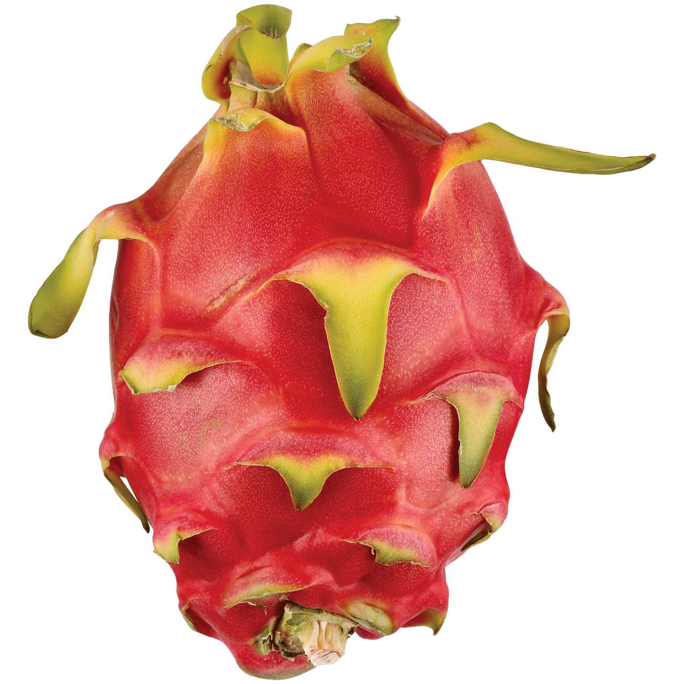 Fresh Red Scarlet Rose Dragon Fruit; image 2 of 2