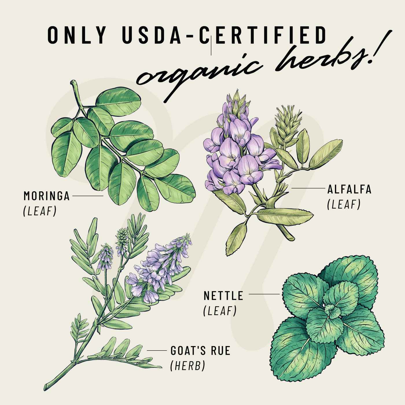 Legendairy Milk Cash Cow Lactation Supplement, Vegan Capsules; image 2 of 2