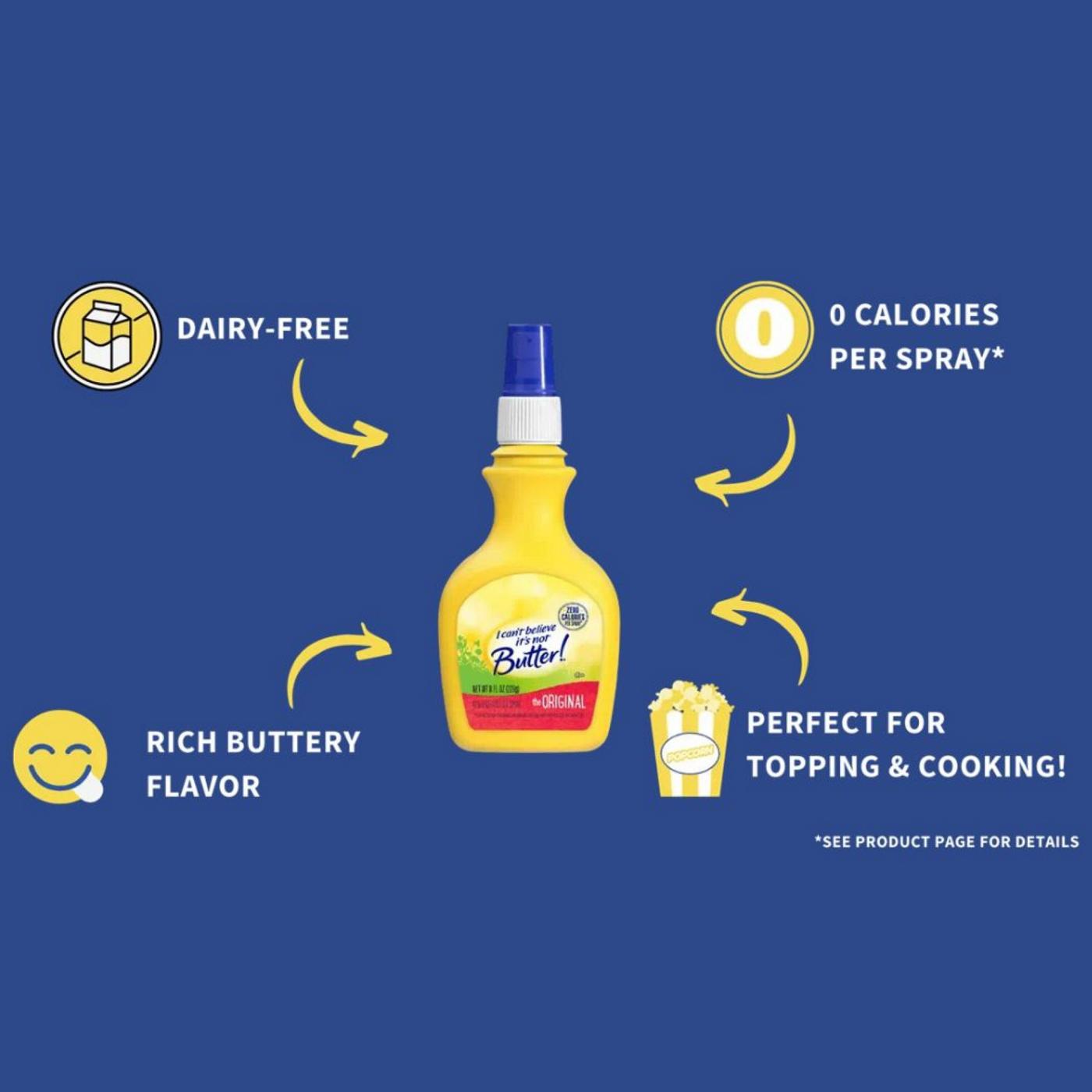 I Can't Believe It's Not Butter! Original Spray; image 2 of 7