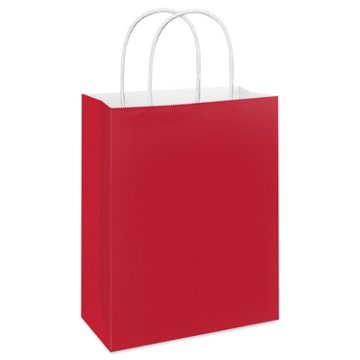 American Greetings Large Solid Red Gift Bag for All Occasions, 5" x 13" x 10"