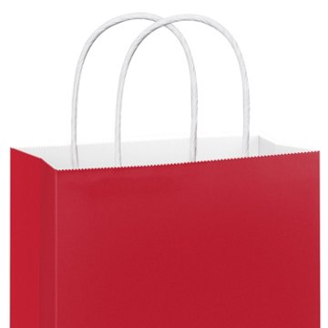 American Greetings Large Solid Red Gift Bag for All Occasions, 5" x 13" x 10"
