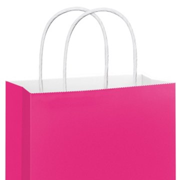 American Greetings Large Solid Pink Gift Bag for All Occasions, 5" x 13" x 10"