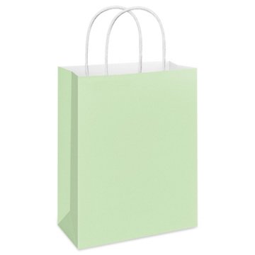 American Greetings Large Mint Gift Bag for All Occasions, 5" x 13" x 10"