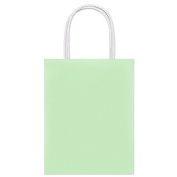 American Greetings Large Mint Gift Bag for All Occasions, 5" x 13" x 10"