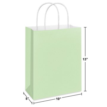 American Greetings Large Mint Gift Bag for All Occasions, 5" x 13" x 10"