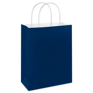 American Greetings Large Solid Royal Blue Gift Bag for All Occasions, 5" x 13" x 10"
