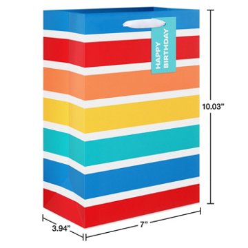 American Greetings Rainbow Stripes Medium Birthday Gift Bag with Hang Tag